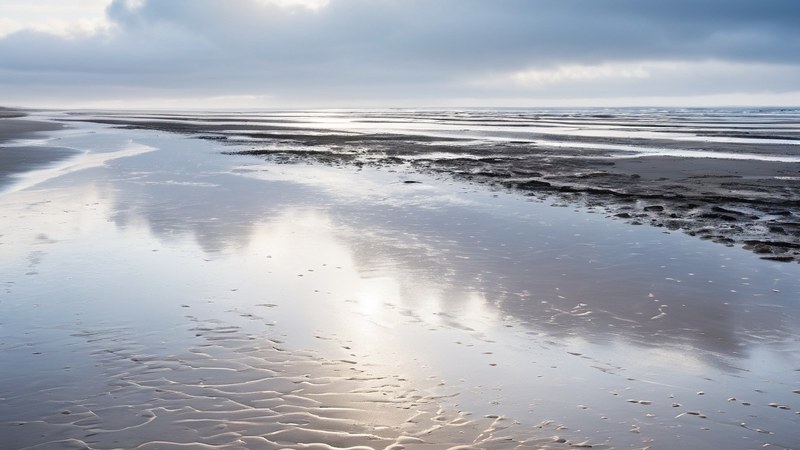 What Are Tidal Flats? The Best Digging Ground You're Probably Ignoring